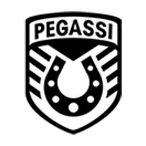 Pegassi