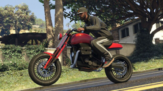 Pegassi FCR 1000 custom